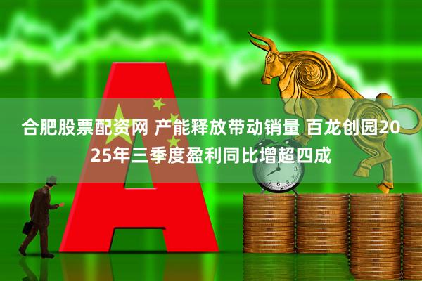 合肥股票配资网 产能释放带动销量 百龙创园2025年三季度盈利同比增超四成
