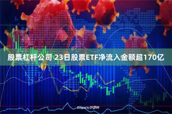 股票杠杆公司 23日股票ETF净流入金额超170亿