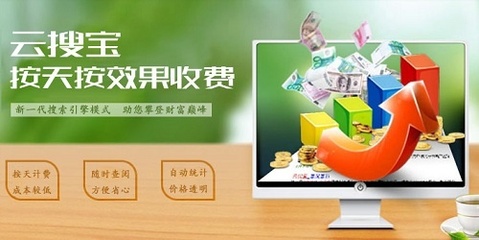 做网站SEO优化为什么选择杭州志卓云搜宝?答案就在这里