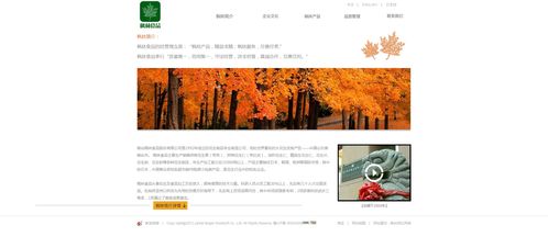 烟台枫林食品食品 酒水 农资 烟台网络公司 烟台网站建设 烟台网页设计 山东网亿网络公司官网