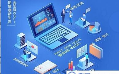 SEO网站优化需要对网站做什么?