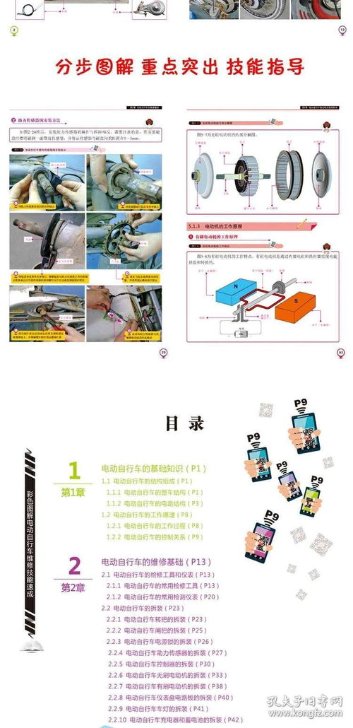 电瓶车电动充电器维修教程书 彩色图解电动自行车维修技能速成 电子产品维修技能速成丛书 电动自行车维修技能