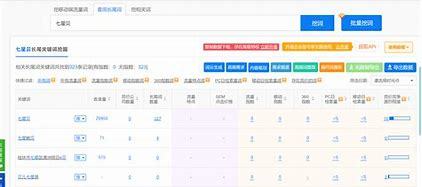 杭州seo网站堆广排名详解:杭州seo网站优化|2024年08月更新