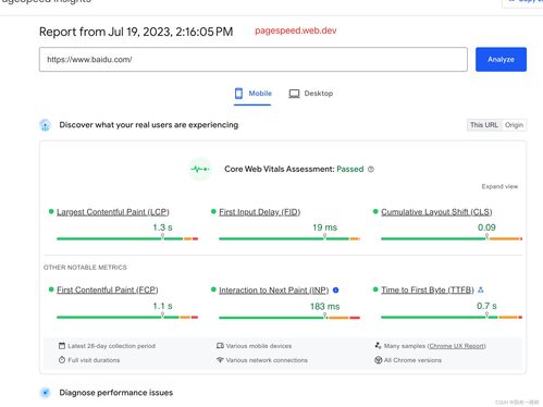 网页性能优化,各种指标检测,谷歌统计使用,pagespeed